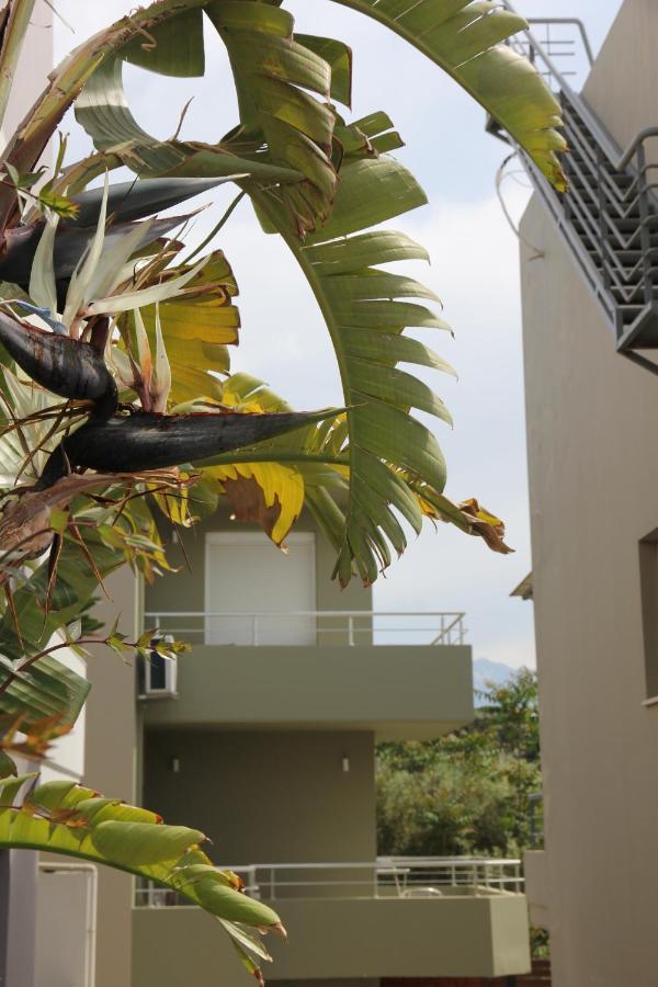 Kamares Apts - Antonis Cozy Maisonette Chania  Exterior foto