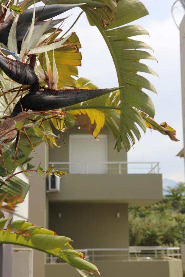 Kamares Apts - Antonis Cozy Maisonette Chania  Exterior foto